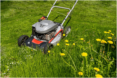 Old lawn mower disposal near me new arrivals